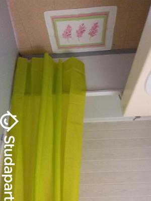 Appartement - 24 m² - 1 pièce