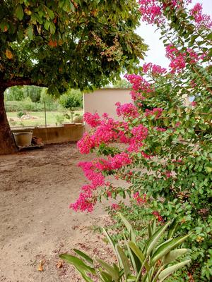 Maison - 184 m² - 7 pièces