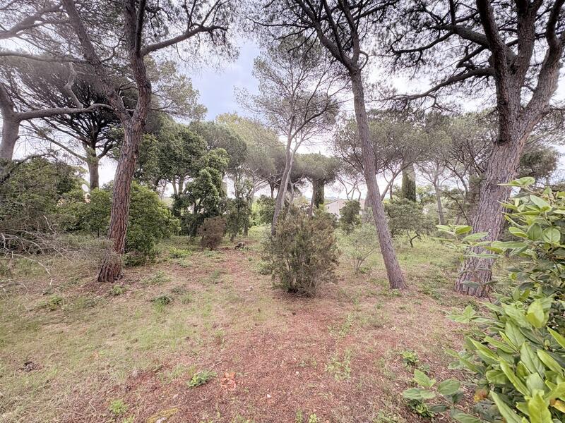 Terrain - 1 320 m²