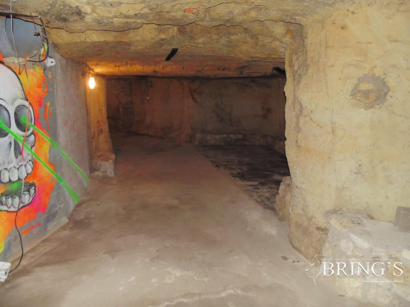 Entrepôt - 10 000 m²