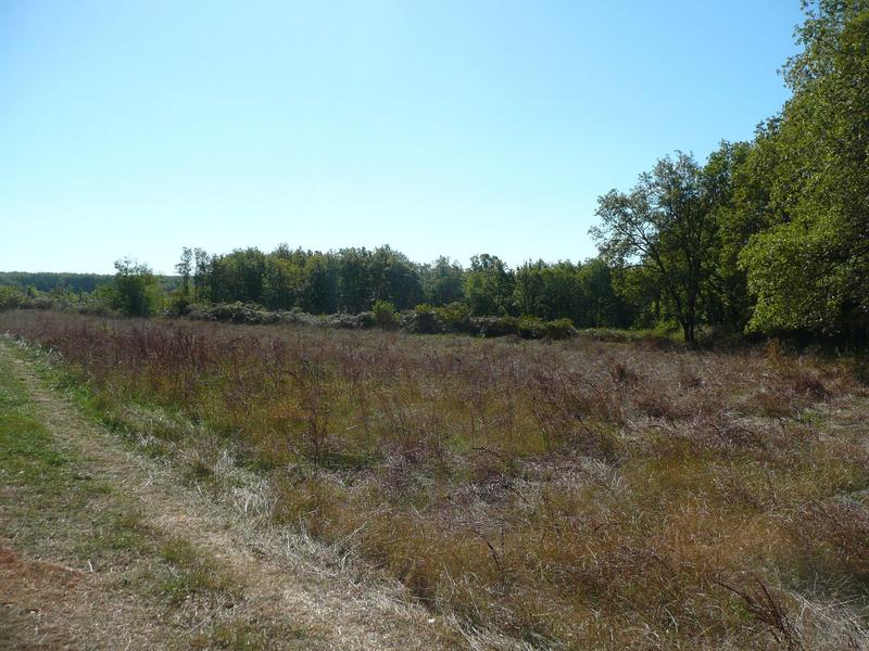 Terrain constructible - 5 345 m²