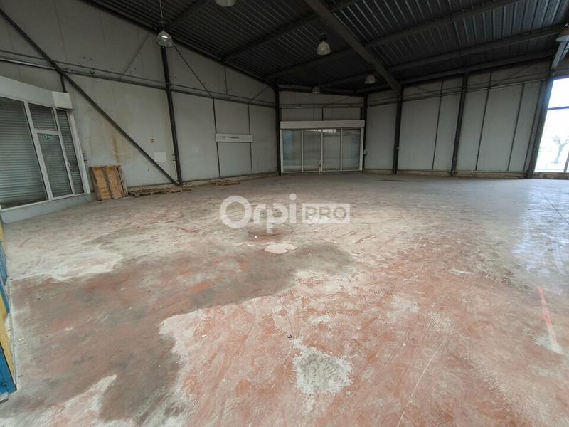 Local d'activité / Entrepôt - 1 500 m²