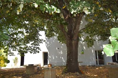 Moulin - 330 m² - 7 pièces