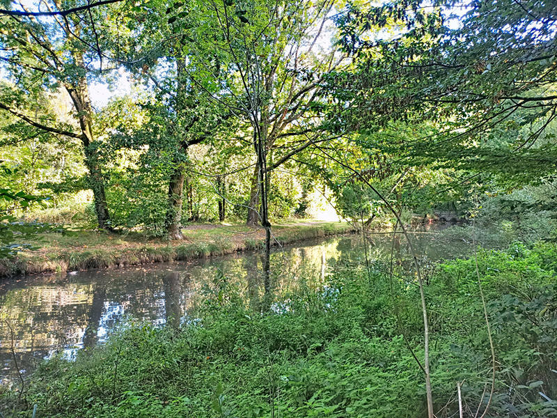 Appartement - 103 m² - 5 pièces