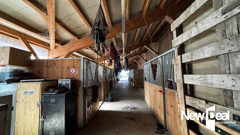 Maison de domaine équestre - 250 m² - 10 pièces