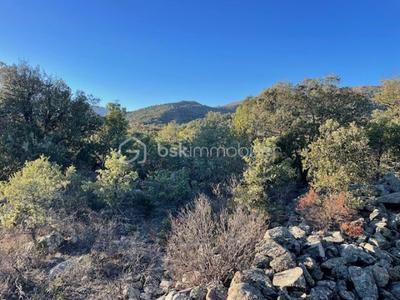 Terrain agricole - 6 500 m²