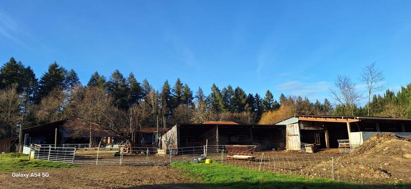 Maison - 115 m² - 4 pièces