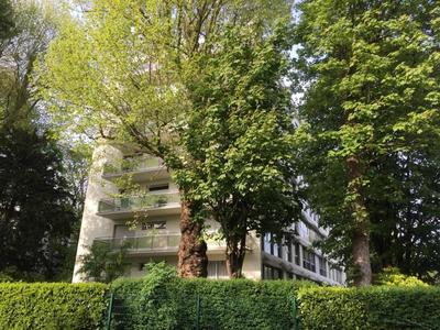 Appartement - 15 m² - 1 pièce