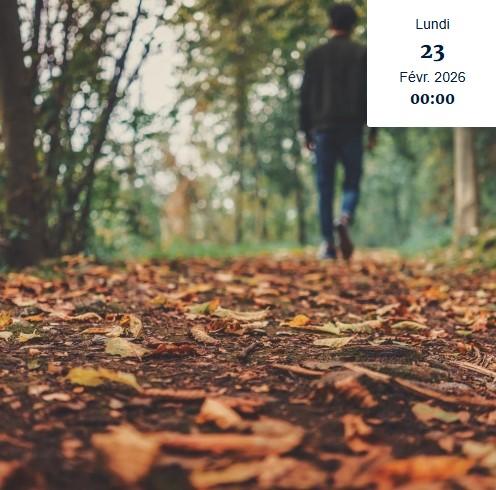 Concours photo participatif : la Ville au Ras du Sol