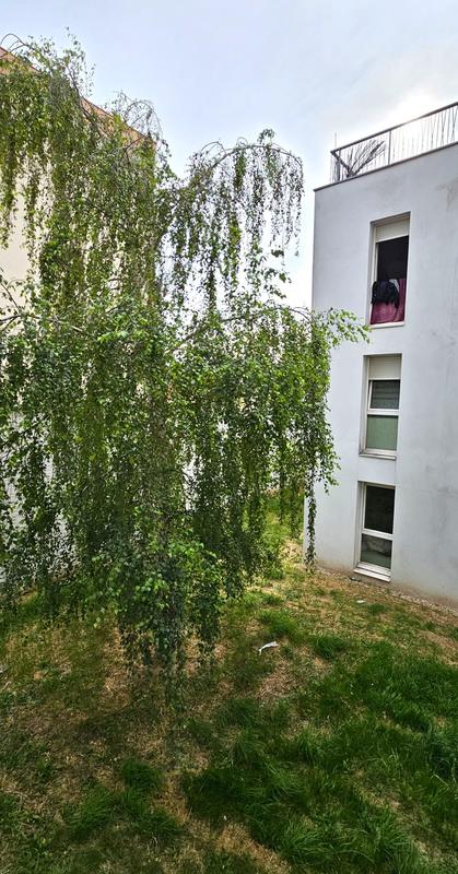 Appartement - 18 m² - 1 pièce