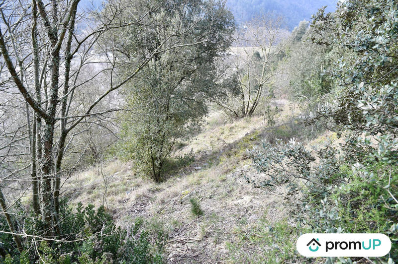 Terrain agricole - 2 780 m²