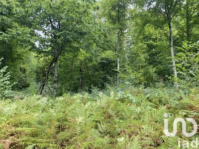 Terrain agricole - 10 388 m²