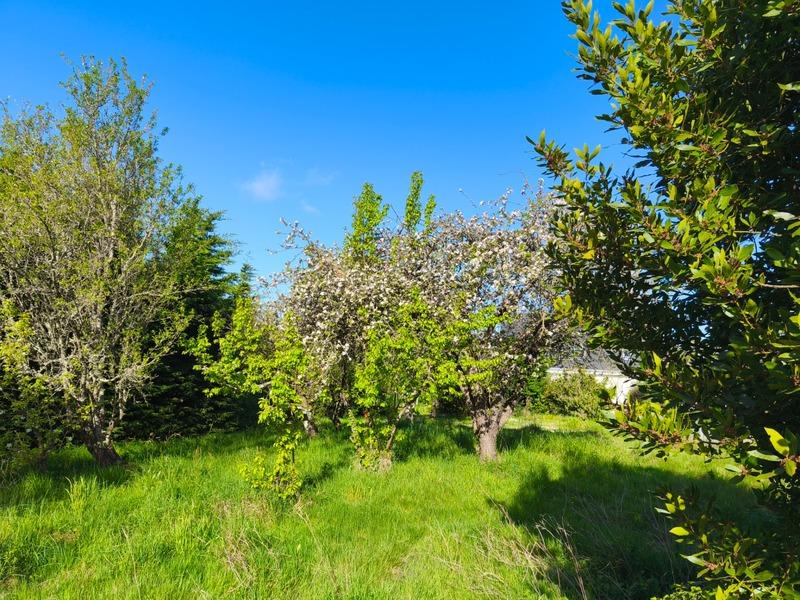 Terrain constructible - 942 m²