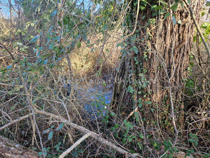 Maison - 160 m² - 1 pièce