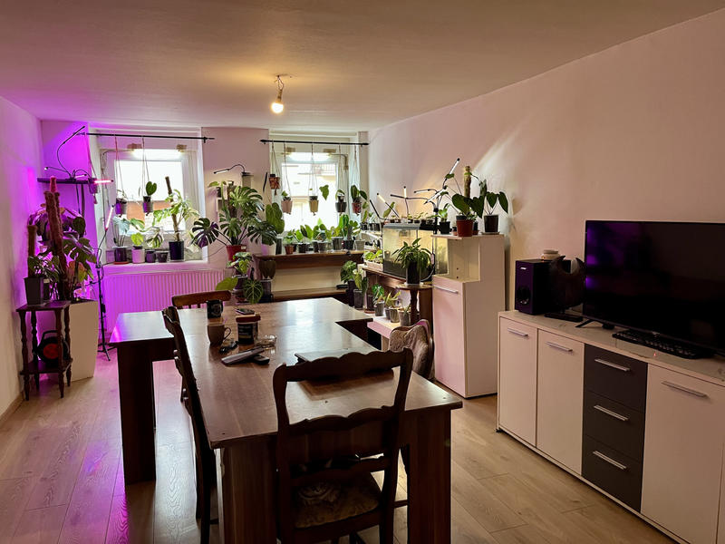 Appartement - 225 m² - 8 pièces