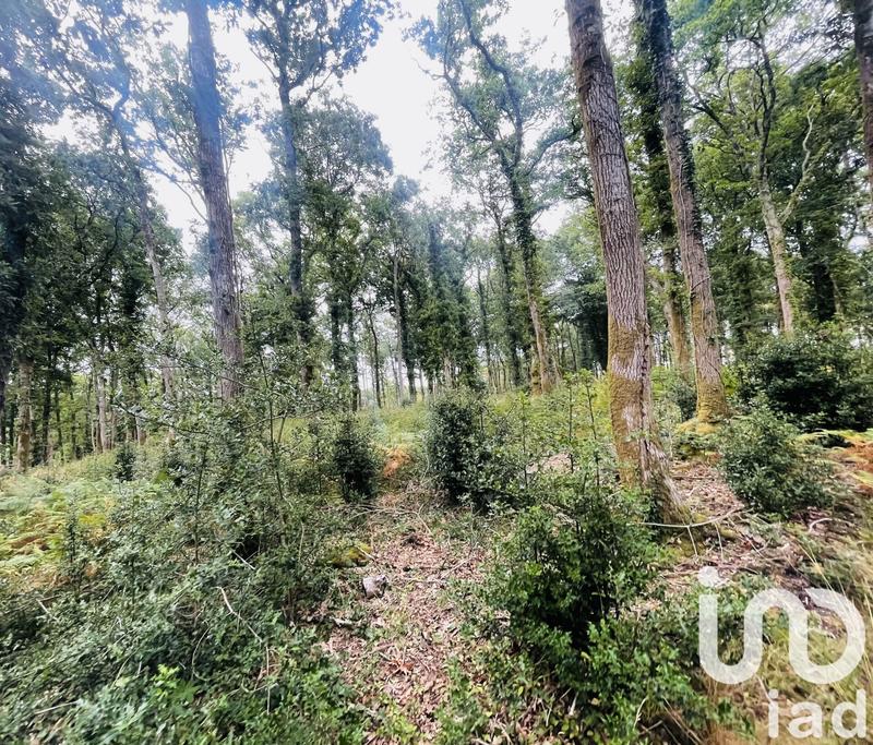 Terrain - 288 850 m²