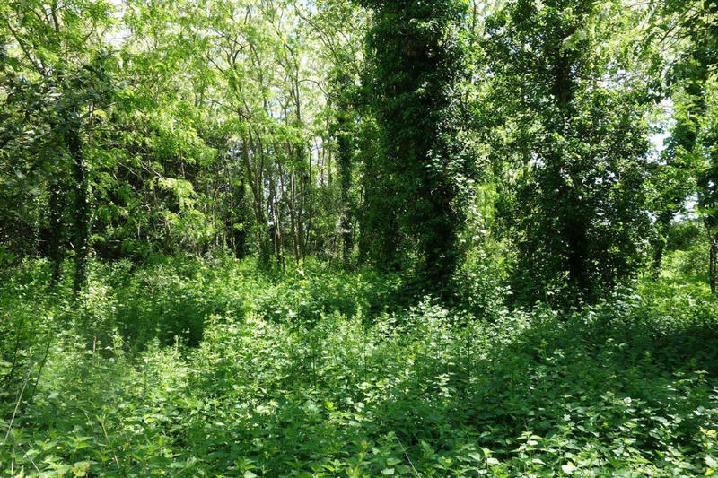 Maison - 330 m² - 8 pièces