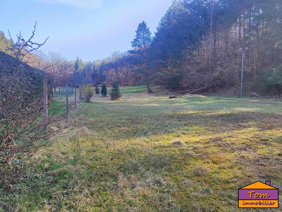 Maison - 250 m² - 10 pièces