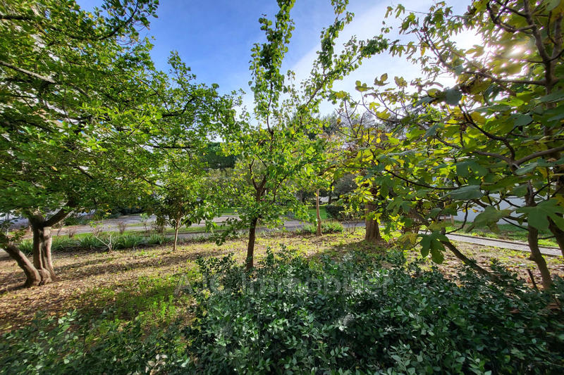 Appartement - 78 m²