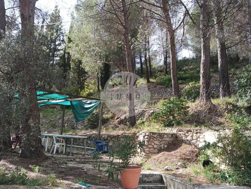 Maison - 44 m² - 2 pièces