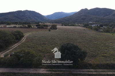 Terrain agricole - 7 544 m²