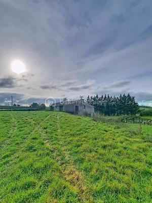 Maison d'architecte - 240 m² - 7 pièces