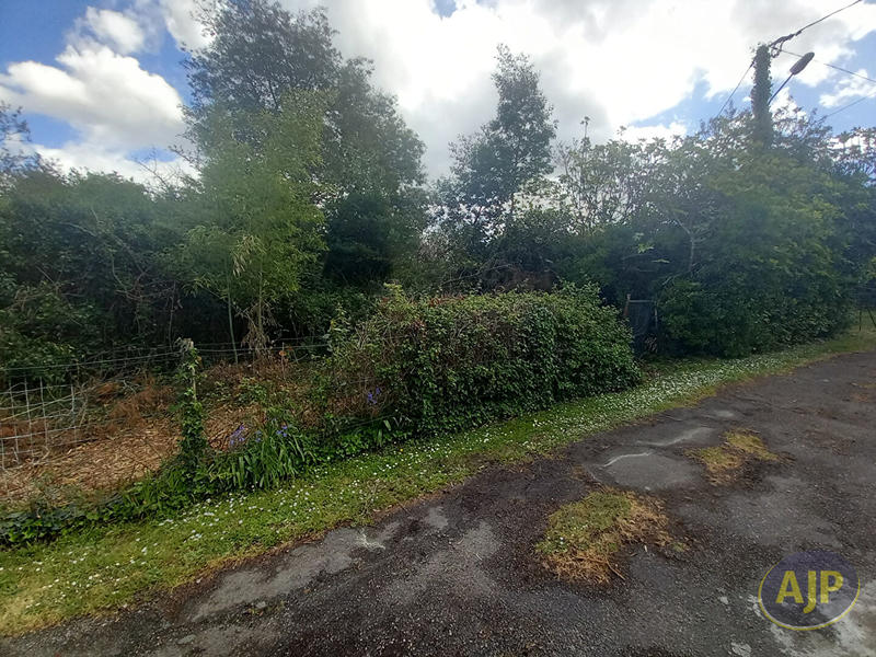 Terrain - 11 865 m²