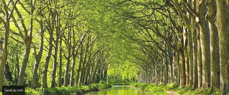 Manoir - 1 450 m² - 40 pièces