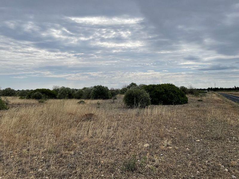 Terrain - 21 115 m²