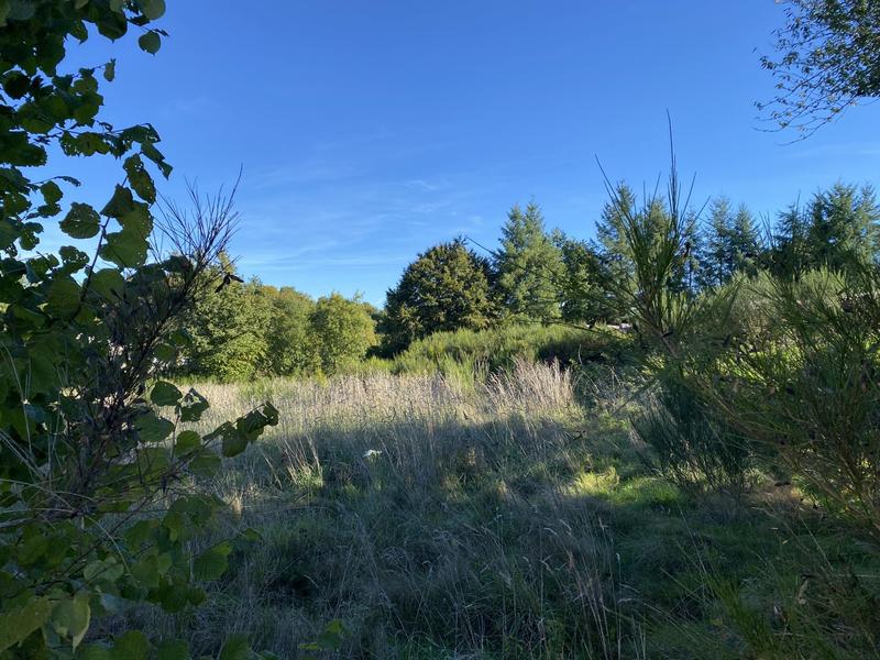 Maison - 87 m² - 5 pièces