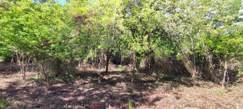 Terrain constructible - 2 975 m²