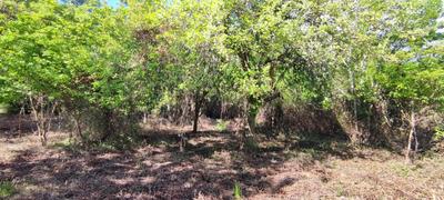 Terrain constructible - 2 975 m²