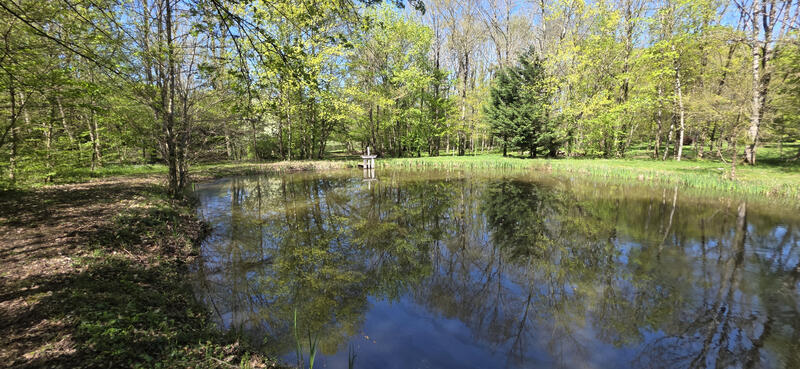 Maison - 205 m² - 5 pièces