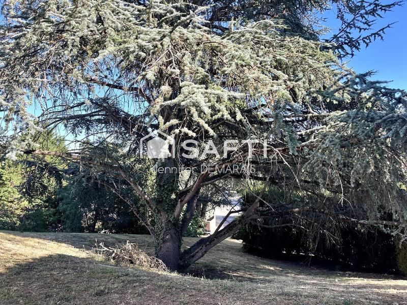 Appartement - 53 m² - 2 pièces