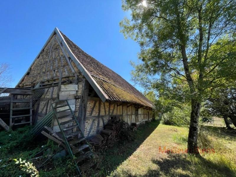 Hangar - 135 m² - 2 pièces