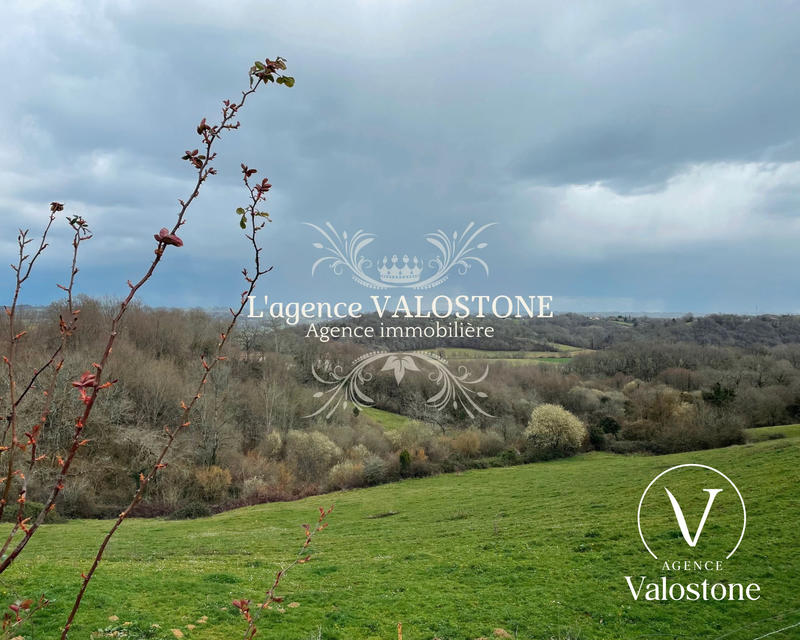 Maison ancienne - 320 m² - 11 pièces