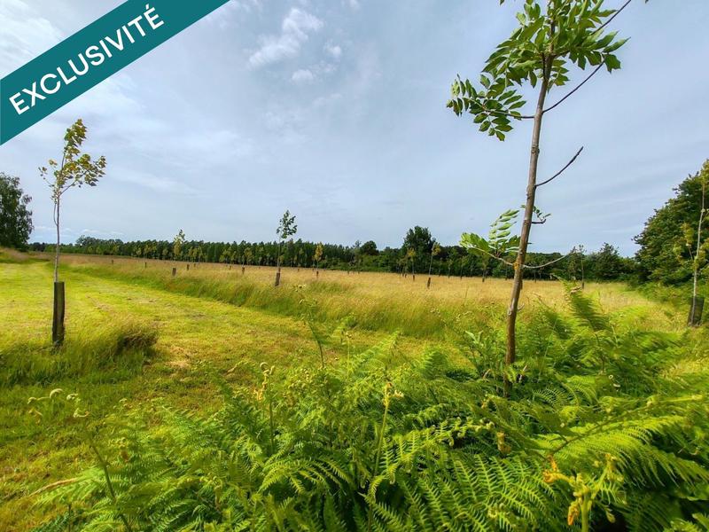 Propriété - 200 m² - 7 pièces