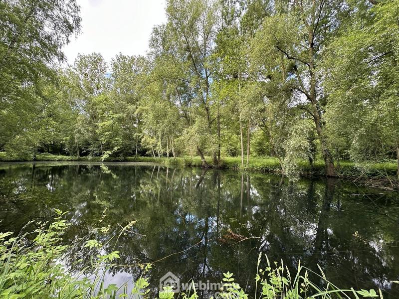 Terrain - 11 300 m²