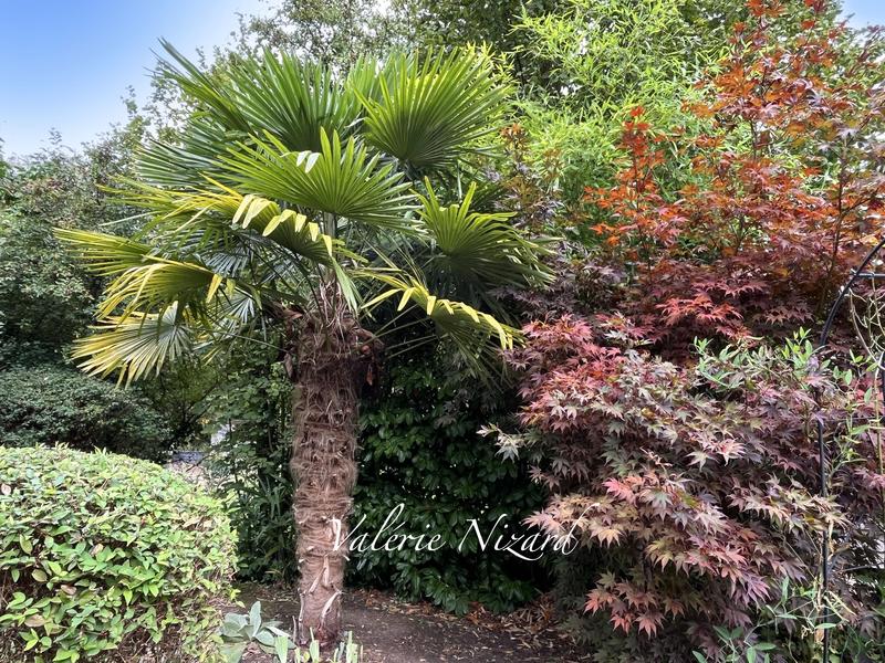 Maison d'architecte - 205 m² - 7 pièces