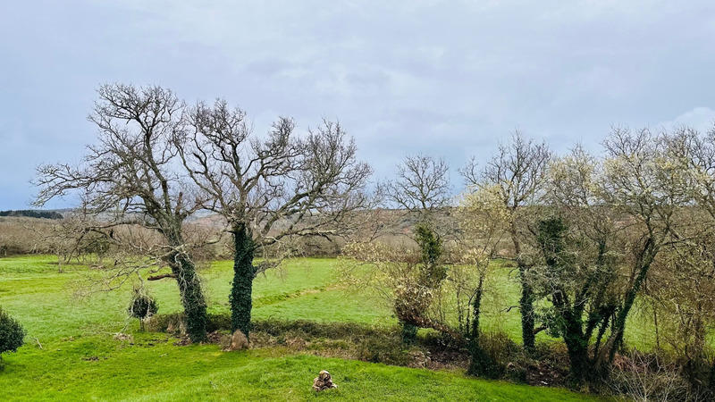 Maison - 134 m² - 5 pièces