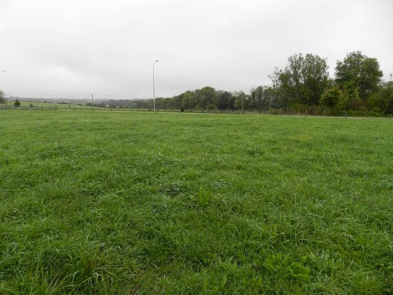Terrain constructible - 2 920 m²