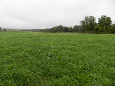 Terrain constructible - 2 920 m²