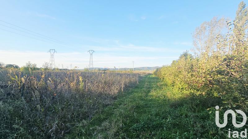 Terrain agricole - 4 295 m²