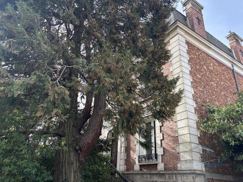 Maison ancienne - 266 m² - 12 pièces