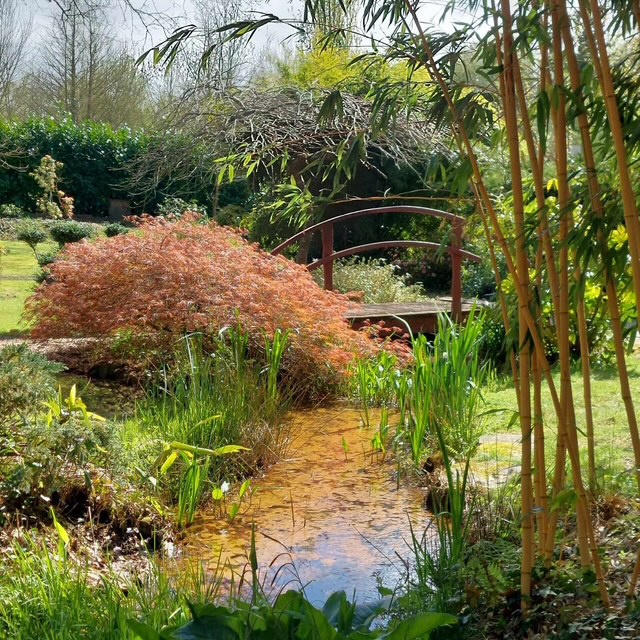 Propriété - 535 m² - 22 pièces