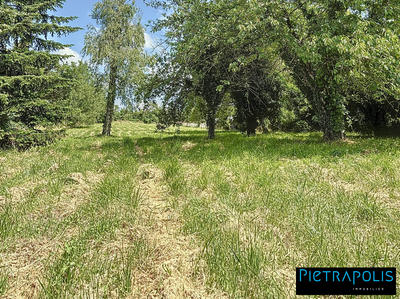 Maison - 165 m² - 1 pièce