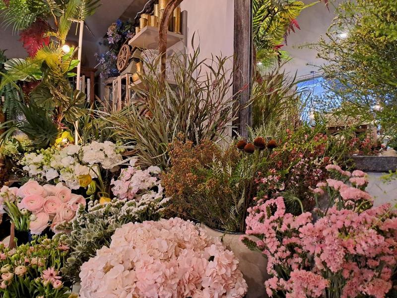 Fonds de commerce - 50 m²