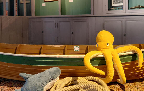 Animation : Visite toute douce pour attendre Noël