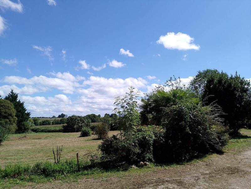 Maison - 230 m² - 10 pièces