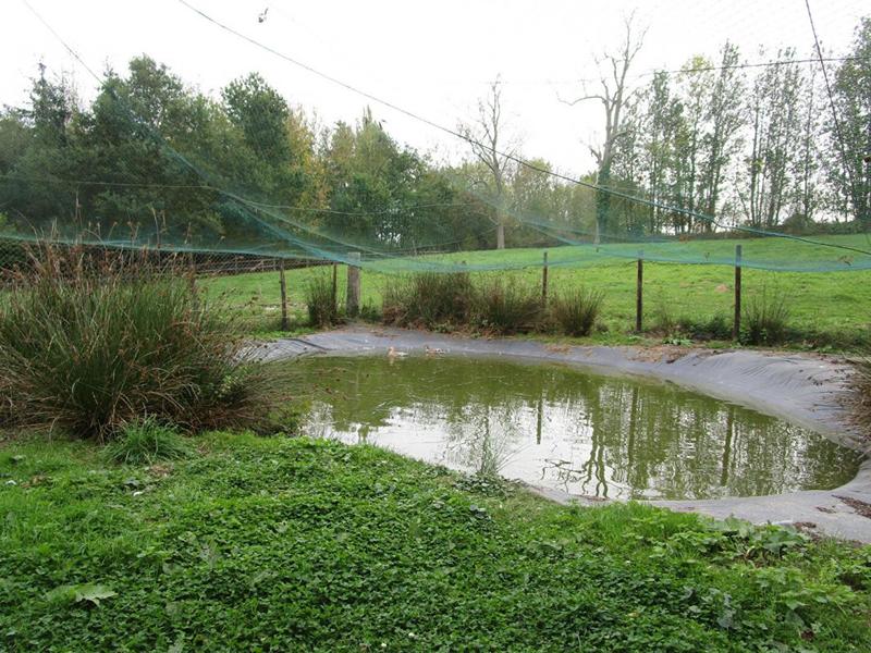 Propriété - 125 m² - 6 pièces